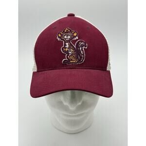 University of Minnesota Golden Gophers Mesh Zephyr Snapback Hat Cap Men NCAA